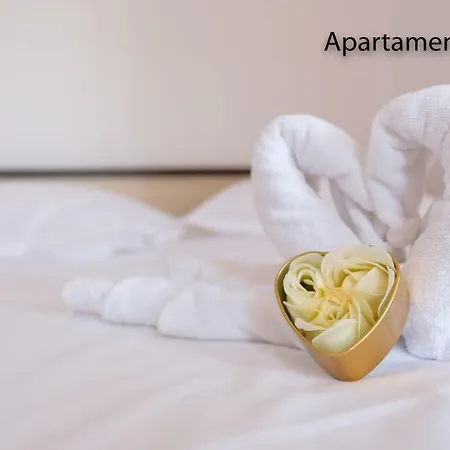 Saona Mamaia Nord Pensjonat Năvodari